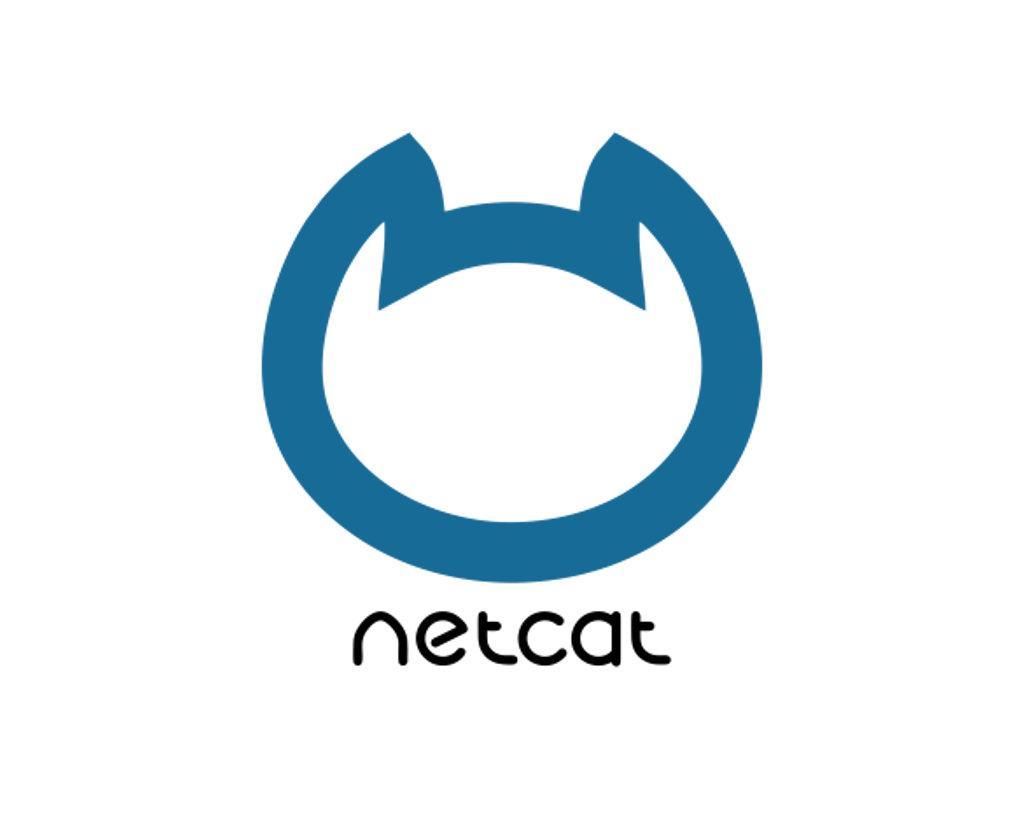 Продвижение сайта на NetCat